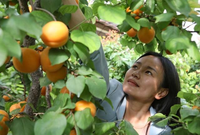 精品农业市场分析（休闲农业市场营销组合之价格策略）(1)