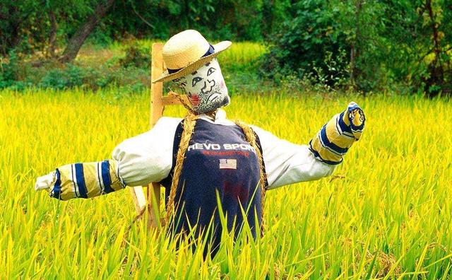 精品农业市场分析（休闲农业市场营销组合之价格策略）(4)