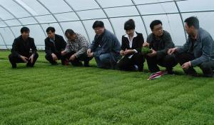 鸡西是哪个省的城市管辖（黑龙江省辖地级市）(2)