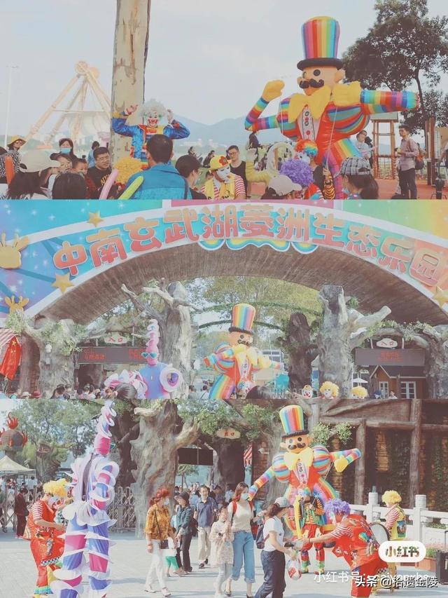 南京都有哪些游乐园(南京游乐园指南)(17)