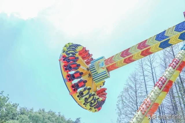 南京都有哪些游乐园(南京游乐园指南)(30)