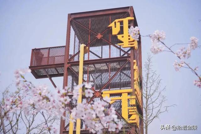 南京都有哪些游乐园(南京游乐园指南)(34)