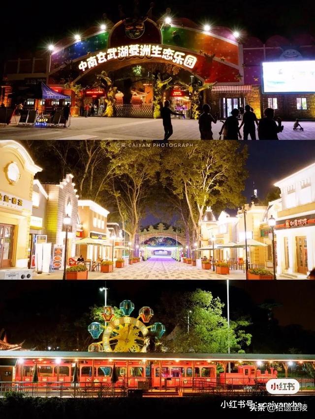 南京都有哪些游乐园(南京游乐园指南)(20)