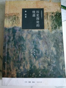 ​让我们换种方式，近距离看美国 好书推荐：《历史深处的忧虑》