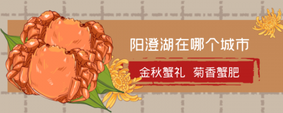 ​阳澄湖在哪里哪个省的(阳澄湖在哪个城市？明明是古太湖的残留，它产的蟹为啥比