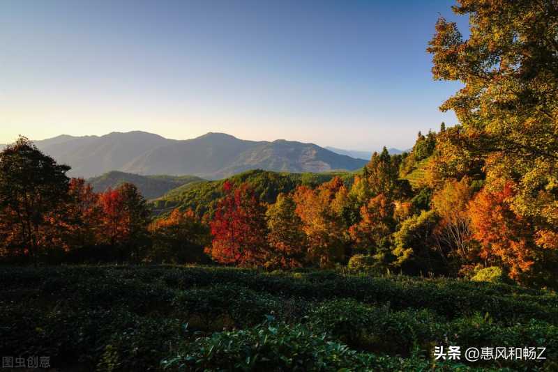 国庆中秋喜相逢的诗句(国庆中秋喜相逢的诗句) 国庆中秋喜相逢的诗句(国庆中秋喜相逢的诗句)