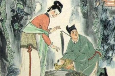 ​狸猫换太子的传奇：权谋与阴谋的宫廷戏