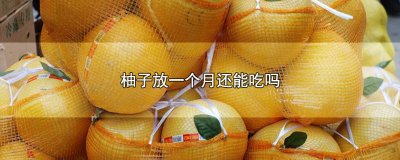 ​放了一个月的柚子可以吃吗 柚子放了1个月还能吃吗