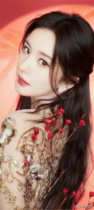 ​精品女神壁纸（329）杨幂