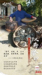 ​预告｜说到“甲鱼”，你以为它只是一道食材？