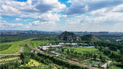 ​百科知识｜济南新旧动能转换起步区：黄河岸边的鸟类——黄雀