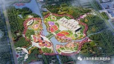 ​爆款花博会，有哪些“花仙子”在争艳？