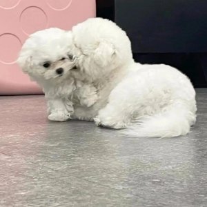 ​好看的朋友圈封面图来了