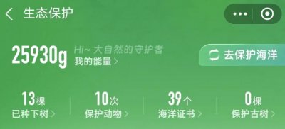 ​支付宝新功能上线，终于整出点有意思的活！