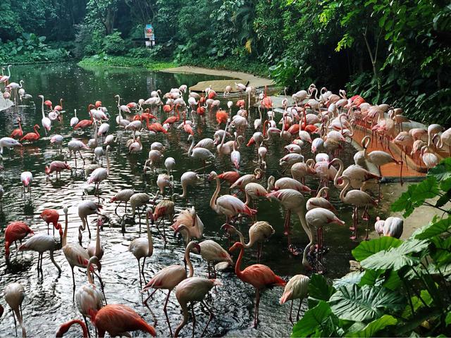 广州最大的游乐场(广州十大游乐园排行榜)(7)