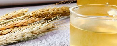 ​炒麦芽煮水禁忌