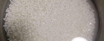 ​包粽子的米要泡多久