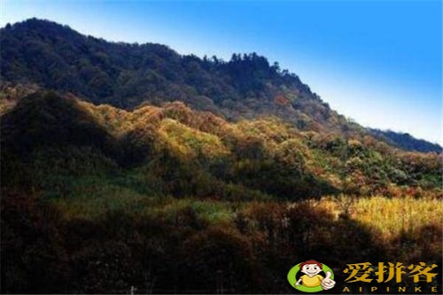 巴中旅游景点排名前十(巴中旅游景点推荐)插图8