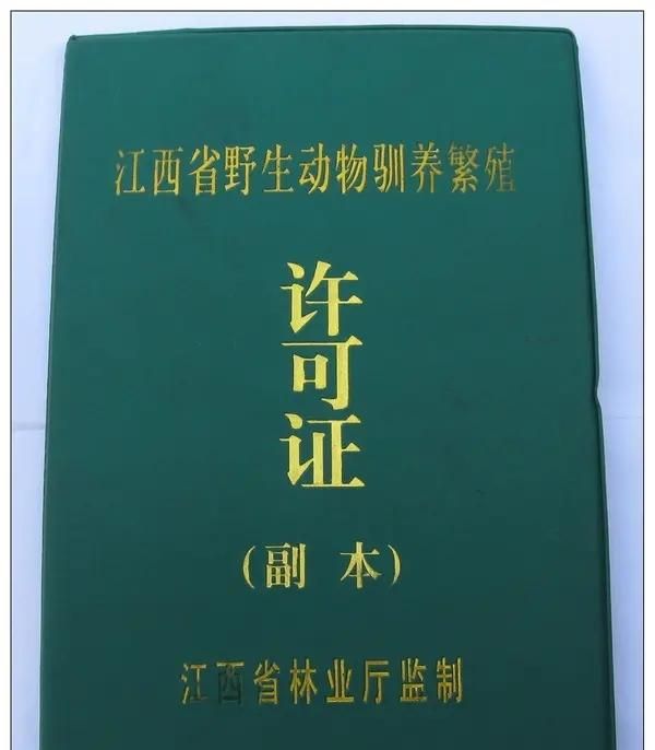 野鸡几级保护动物，松雉是国家几级保护动物？图7