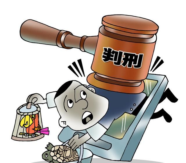 野鸡几级保护动物，松雉是国家几级保护动物？图5