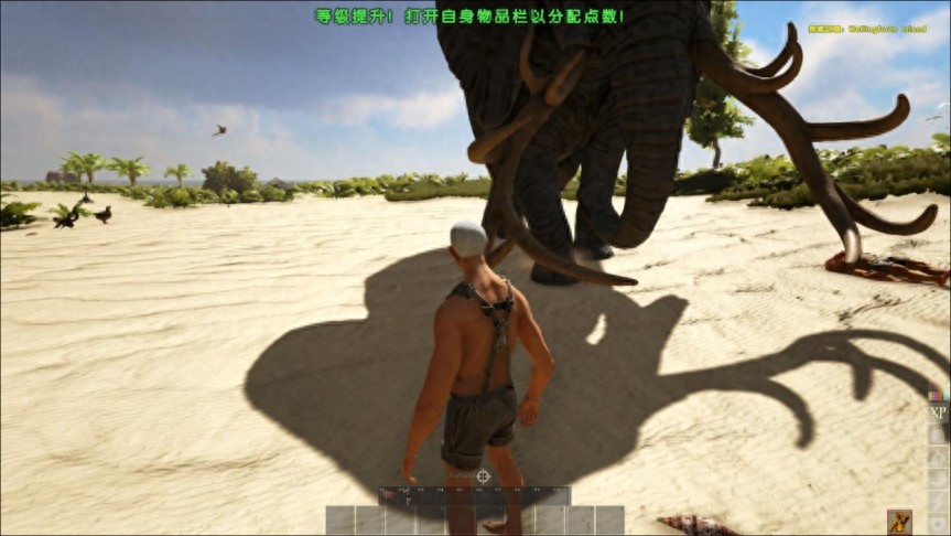 海盗游戏《ATLAS》初期拓荒注意事项，怎么离开新手区？