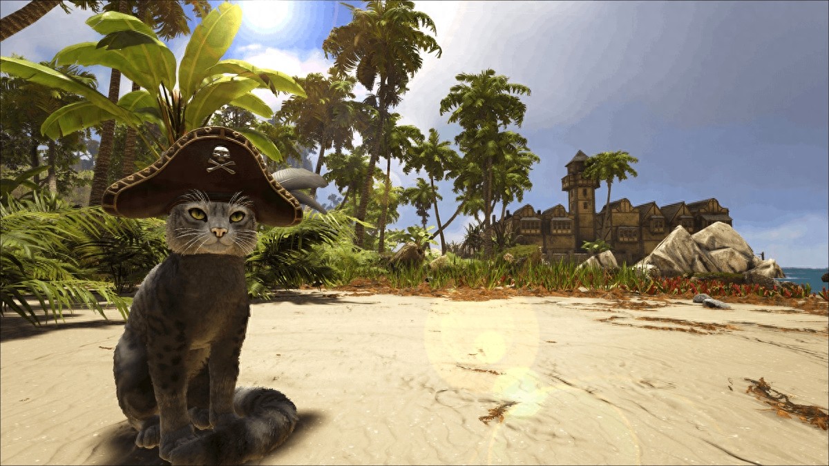 海盗游戏《ATLAS》初期拓荒注意事项，怎么离开新手区？