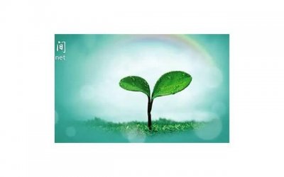 ​为什么你在一段恋爱关系中底气不足？