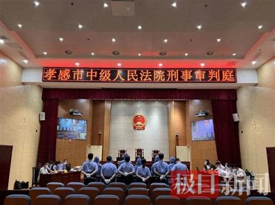 ​湖北孝感“蛋白虫养殖回购骗局”二审维持原判，20人获刑