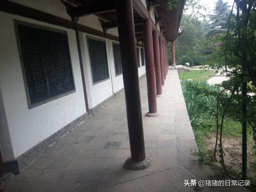 陕西西安青龙寺遗址公园(不要门票，呵呵)