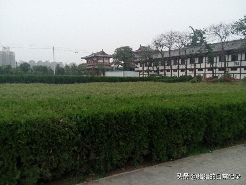 陕西西安青龙寺遗址公园(不要门票，呵呵)