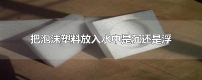 ​把泡沫塑料放入水中是沉还是浮