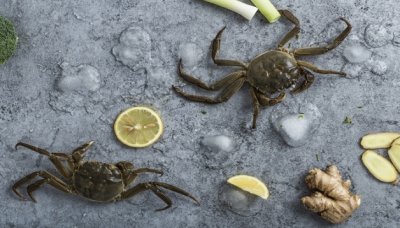 ​螃蟹一般晚上几点出来活动