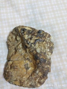 ​月球角砾岩陨石特征