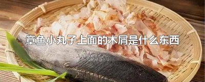 ​为什么章鱼小丸子的章鱼屑会动 章鱼小丸子中的鱼屑