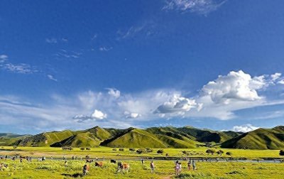 ​被称“东霸天”，通辽“黑老大”的江湖路