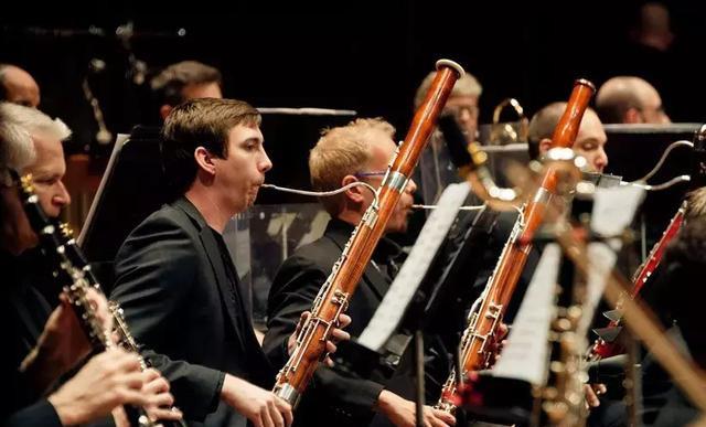 巴松演奏的曲子（交响乐团中的巴松和低音巴松）(8)