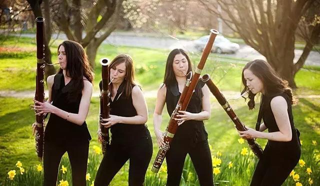 巴松演奏的曲子（交响乐团中的巴松和低音巴松）(10)