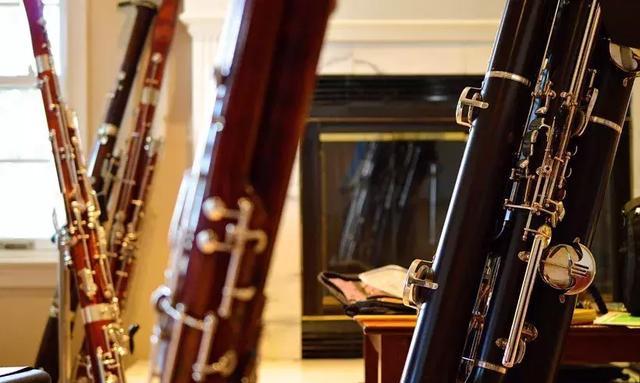 巴松演奏的曲子（交响乐团中的巴松和低音巴松）(7)