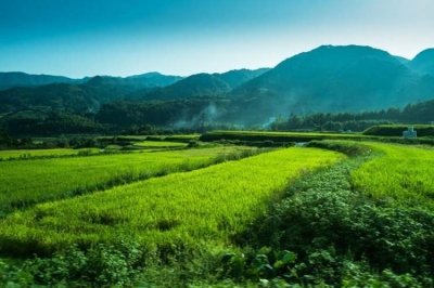 ​在日本，越来越多的年轻人在城乡之间过起“双重生活”