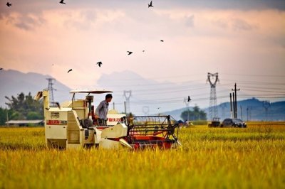 ​农业在中国的重要性