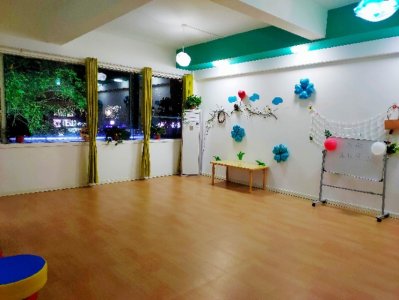 ​教育心理学中的“双生子爬梯试验”