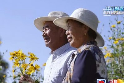 ​梦想改造家“翻车”，改造之后被改成毛坯房，引发众多网友吐槽