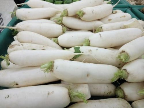 十种刮油食物越吃越瘦肥10斤暴瘦法，十种刮油食物越吃越瘦瘦20斤残忍法-第1张图片-