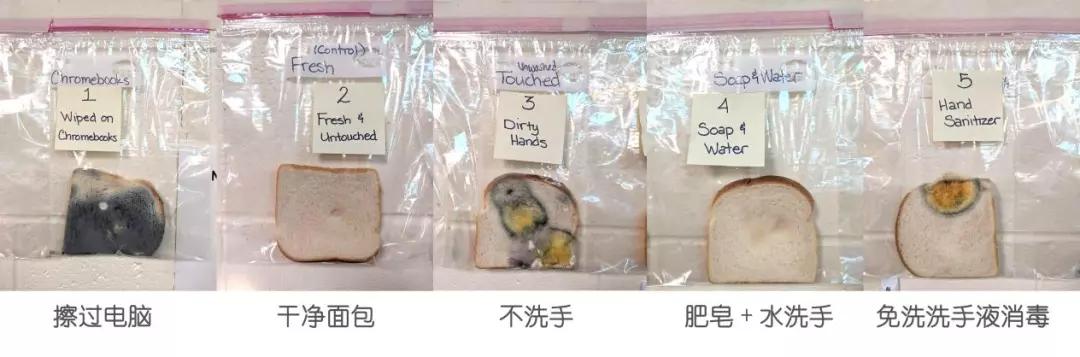 消毒产品清单(消毒产品购买指南)(14)