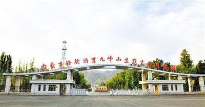 ​42度金骆驼窖藏(金骆驼46度)