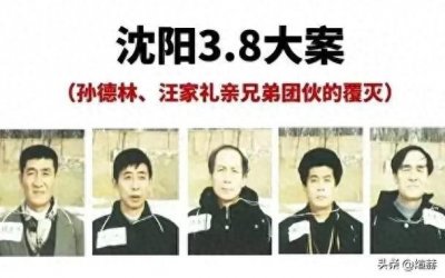 ​12年犯案43起24条人命，沈阳“3·8”大案，悍匪终被正义终结