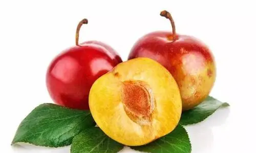 李子怎么保存到冬天,小李子是一个什么样的人图6