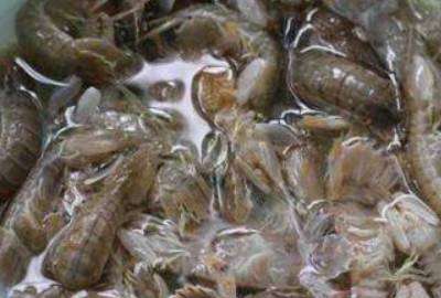 新鲜虾球怎么保存,炒过的虾球怎么保存图12