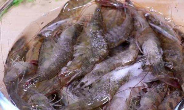 新鲜虾球怎么保存,炒过的虾球怎么保存图4