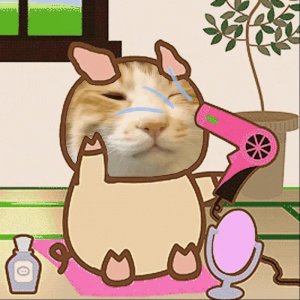 ​45个沙雕表情包 - 可爱有趣逗比的表情包呀